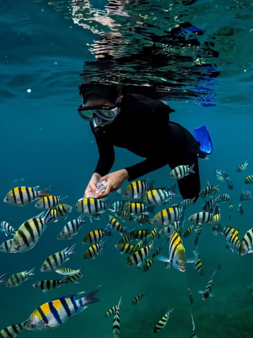 Majestic Lombok