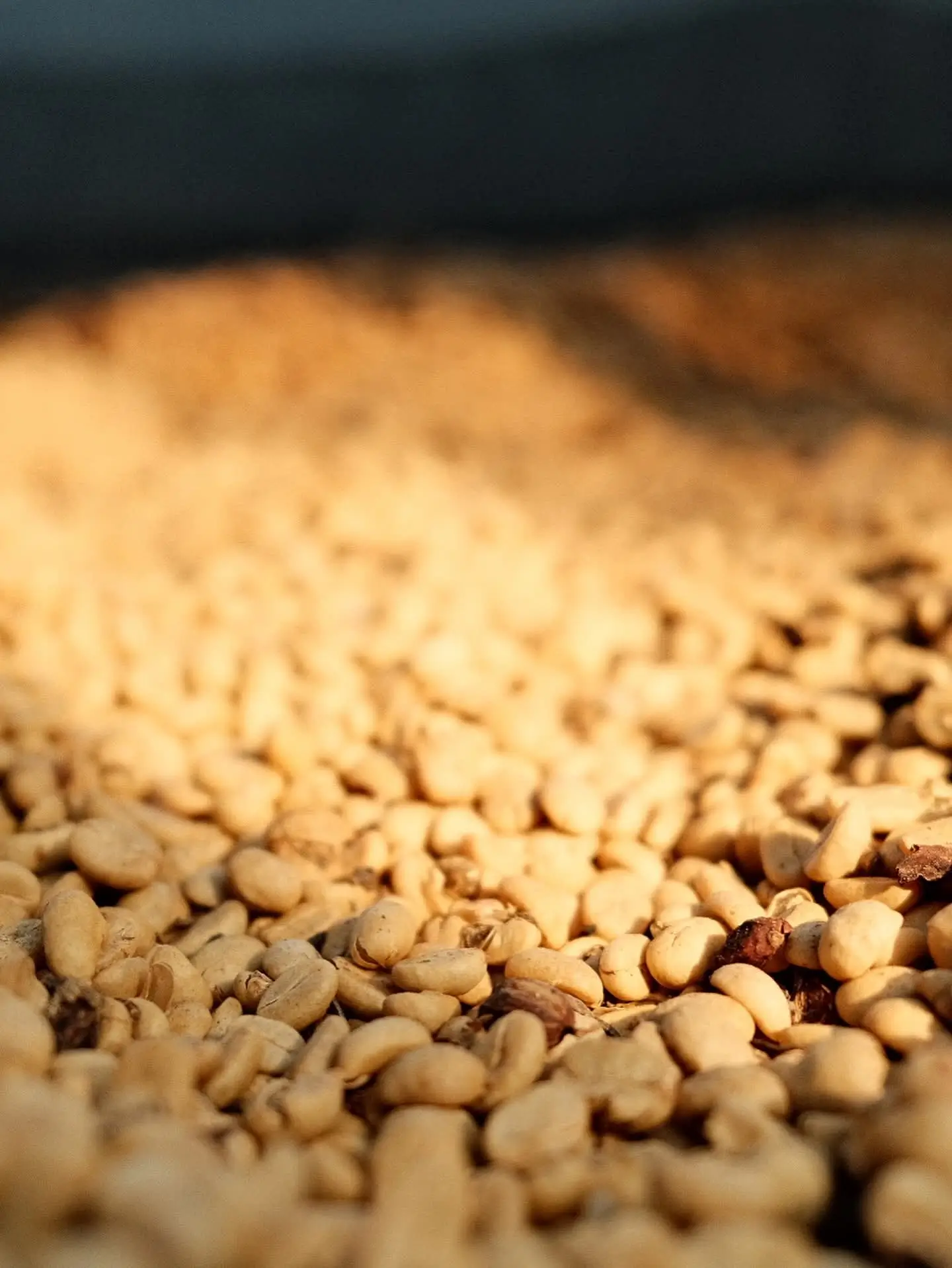 East Lombok Coffee Experience